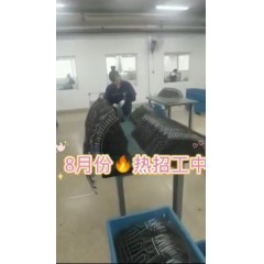 浙江江山電熱棒廠  長白班～兩班倒   男18-55，女18-50周歲