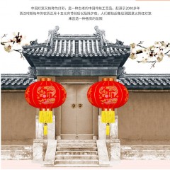 大紅燈籠 2020新款燈籠掛飾新年春節(jié)過(guò)年大門口大紅燈籠室內(nèi)戶外/個(gè)