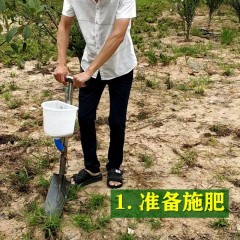 農(nóng)用工具 果樹施肥神器 硬地追肥槍 人工鐵鍬撒化肥 果園小型農(nóng)業(yè)機(jī)械