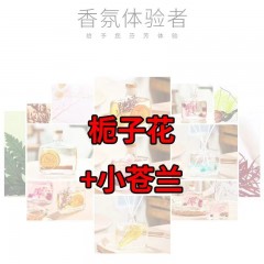 香薰家用室內(nèi)臥室?guī)諝夥块g除臭衛(wèi)生間熏香持久香水香氛清新劑